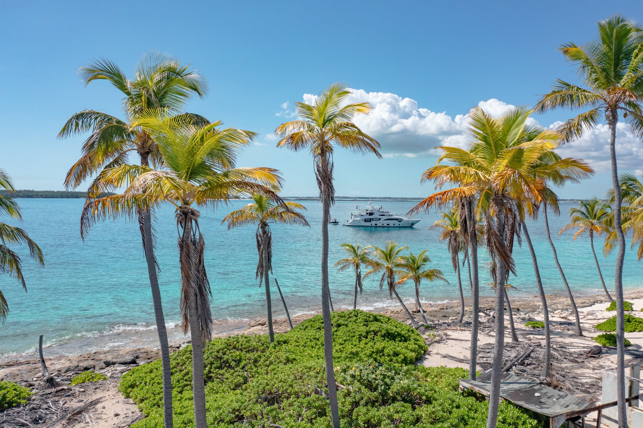 Venus Speedster — hand-built open-cockpit collector vessel